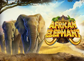 Pragmatic : African Elephant - HIGHBET33